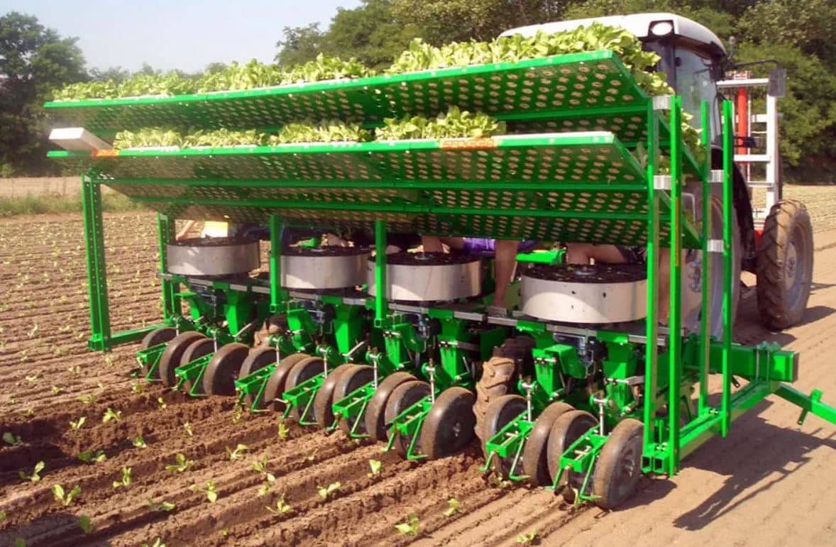 Rice transplanter machine in paddy field